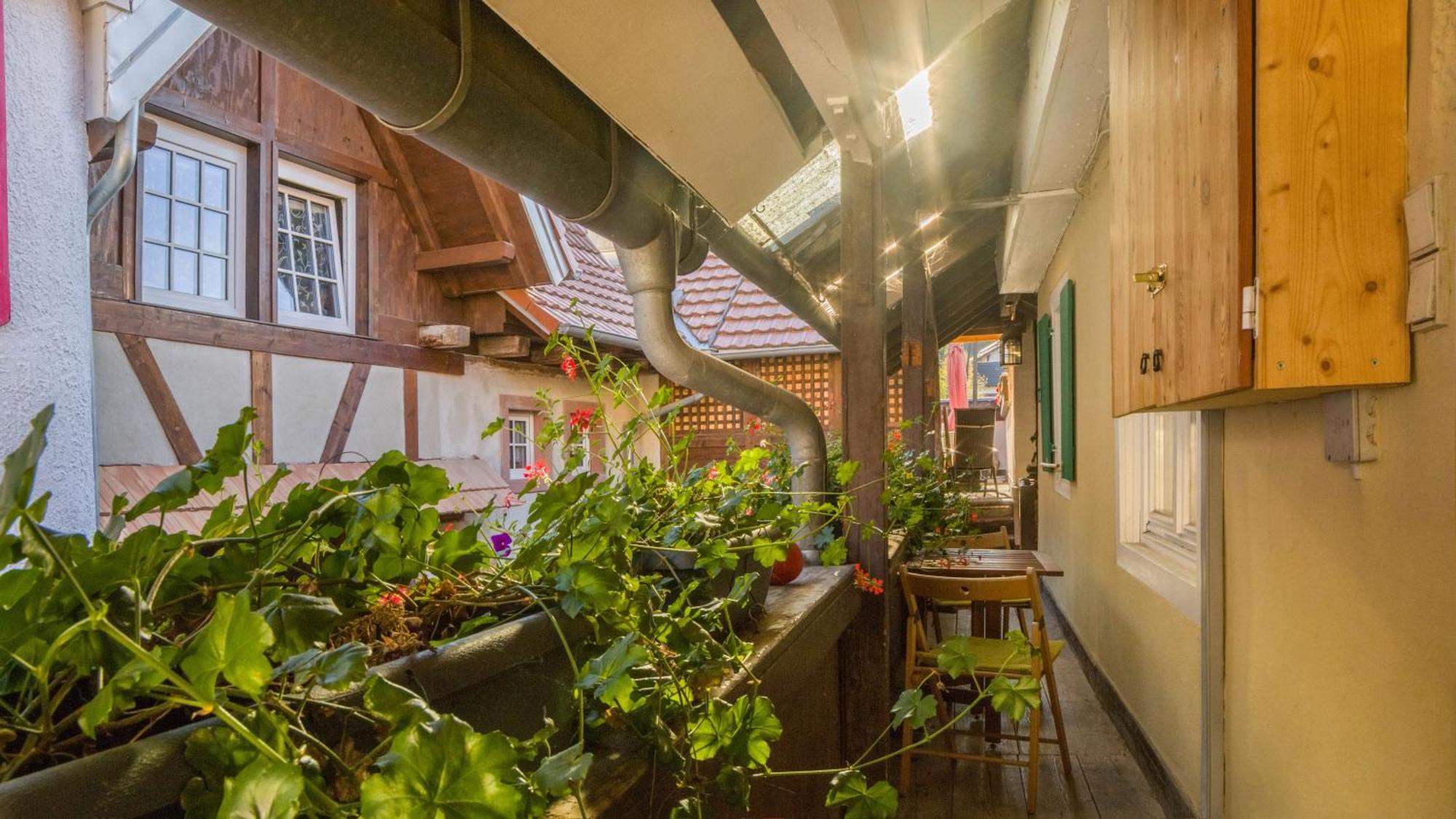 Ferienwohnungen Altes Rathaus Vogtsburg Exterior foto